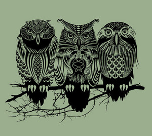  white house owls