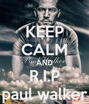  R.I.P,Paul Walker<3