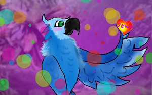  Talento the spix macaw