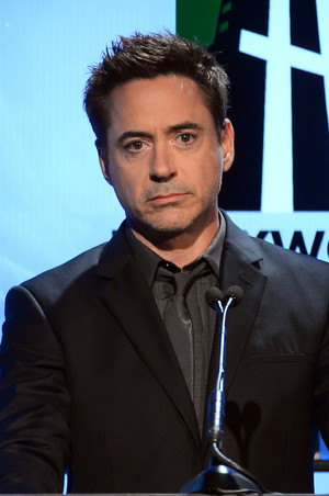  Robert Downey Jr. at the 17th Annual Hollywood Film Awards