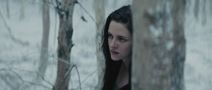  Snow White and the Huntsman badges