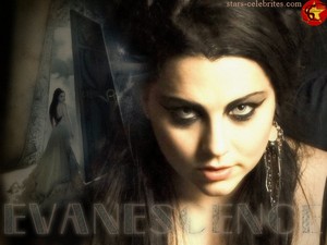 Evanescence - The Open Door