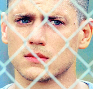 Michael Scofield - Prison Break