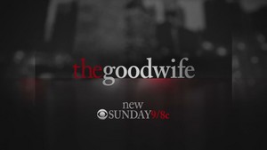  the good wife