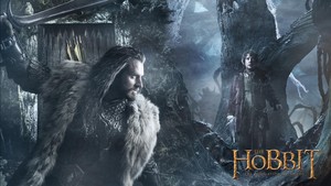  The Hobbit: The Desolation of Smaug achtergrond