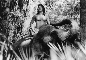 Mowgli (Jason Scott Lee)