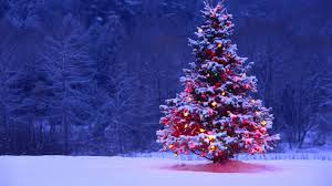  Christmas arbre 1