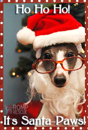 funny Dog क्रिस्मस