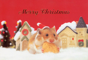  Weihnachten hamster