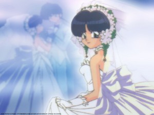  Ranma and Akane wedding