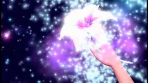  the magical 花