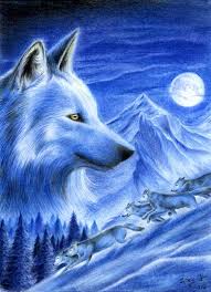 White Wolf, White Mountain, WHITE.
