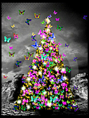  Schmetterlinge of Weihnachten