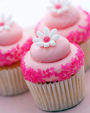Pink Gourmet Cupcakes