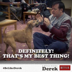  Derek trích dẫn