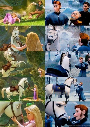 Tangled and Frozen