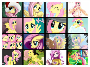  Fluttershy Collage