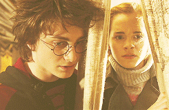  Harry Potter & Hermione Granger ϟ
