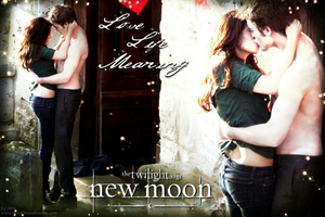 Edward and Bella (New Moon)