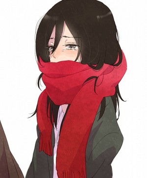  Young Mikasa