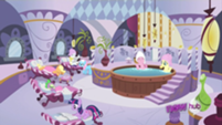  The Mane 6 at the Spa