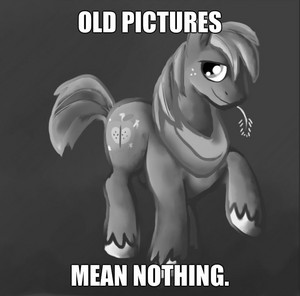  OLD PICTURES MEAN NOTHING