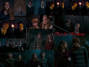  Harry Potter and the Order of the Phoenix 2