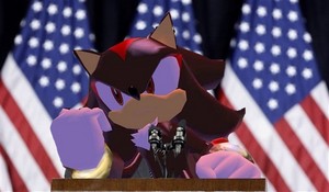  Shadow the president
