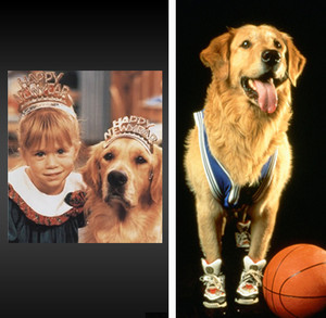 Comet from Full House
