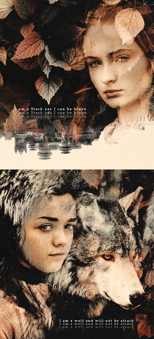  Arya & Sansa Stark