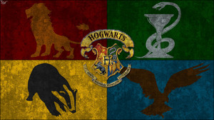  Harry Potter achtergronden