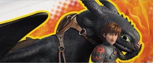  New image of older Hiccup and Toothless