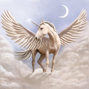  Beautiful Pegasus!
