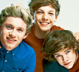  Niall Louis and Harry