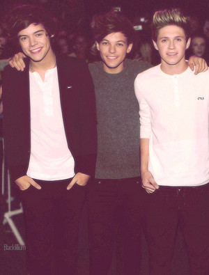  Harry Louis and Niall