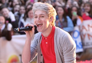  one direction niall horan