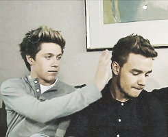  Liam and Niall ♚