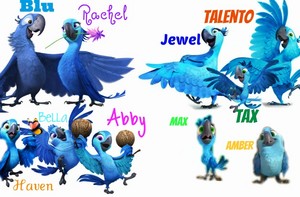  Blu and Talento's Families