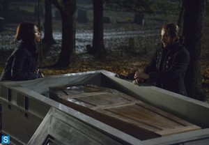  Sleepy Hollow - Episode 1.12 - 1.13 (Season Finale) - Promotional 照片