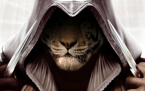  assassins tiger