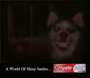  Smile.dog Colgate