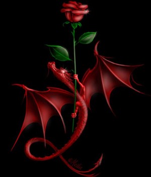  Dragon Rose