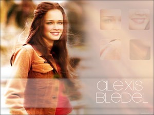  Alexis Bledel