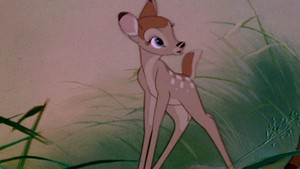  Bambi Screens