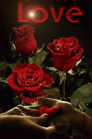  red Розы ~~ Любовь