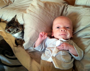  Kitten And Baby