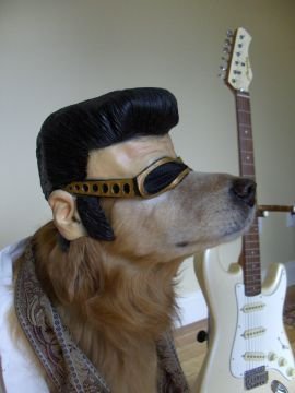  wewe ain't nothin' but a hound dog