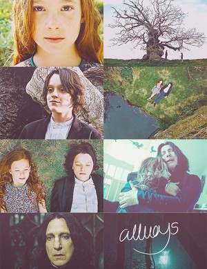  Lily and Snape
