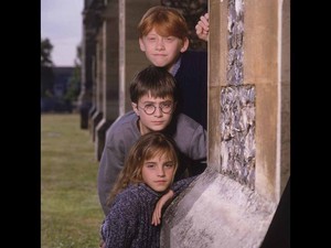  Harry,Hermy and Ron