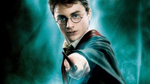  Harry Potter<33